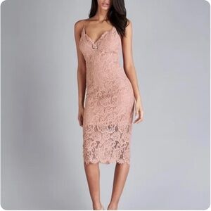 Bardot Rose Lace Pencil Dress